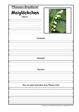 Pflanzensteckbrief-Maiglöckchen.pdf